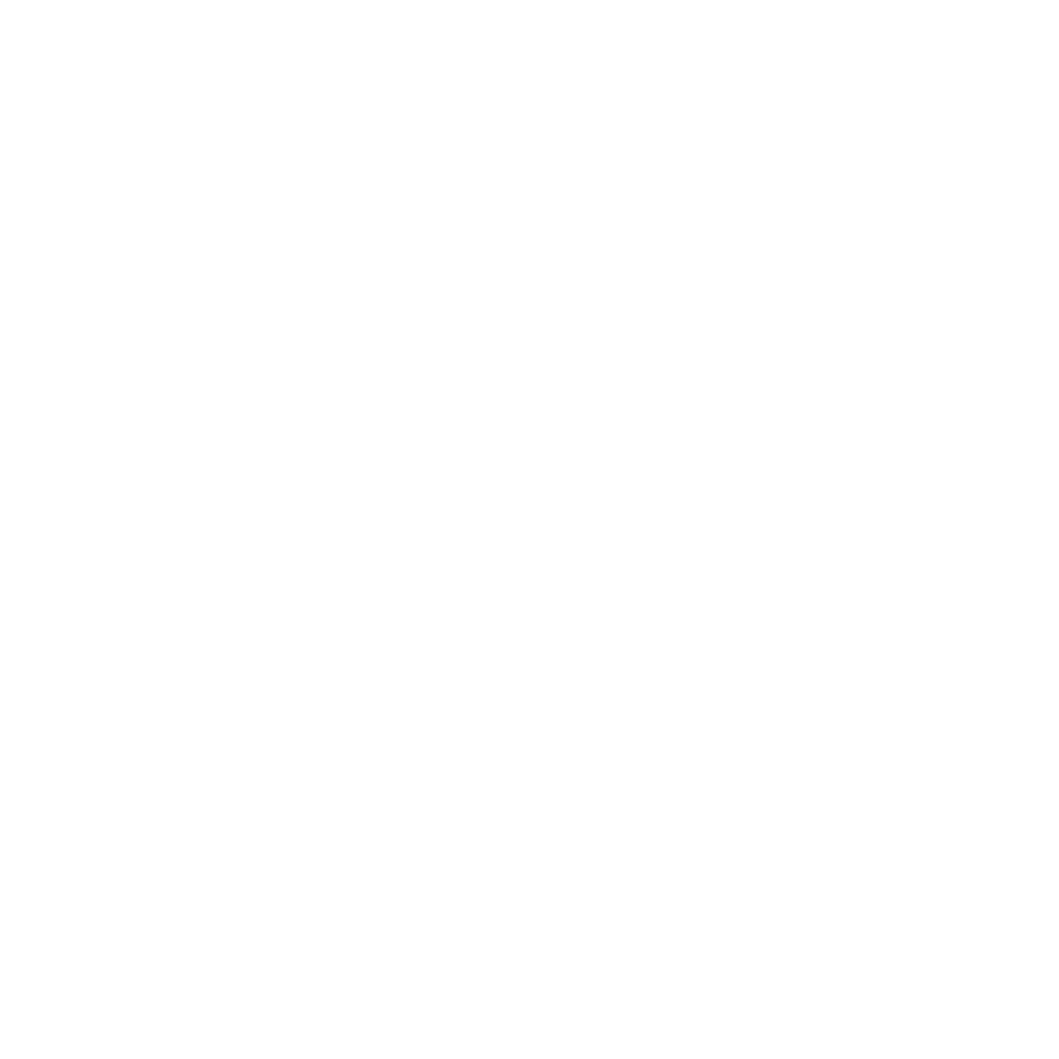Fly High Tribe